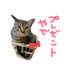 にあんたれぶー2（個別スタンプ：1）