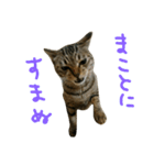 にあんたれぶー2（個別スタンプ：3）
