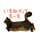 にあんたれぶー2（個別スタンプ：6）