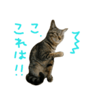 にあんたれぶー2（個別スタンプ：8）