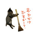にあんたれぶー2（個別スタンプ：10）