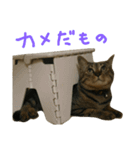 にあんたれぶー2（個別スタンプ：11）