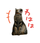 にあんたれぶー2（個別スタンプ：12）