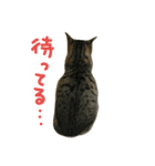 にあんたれぶー2（個別スタンプ：19）
