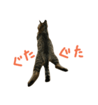 にあんたれぶー2（個別スタンプ：22）