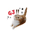 スコティッシュはるまる第6弾～ネット猫編（個別スタンプ：2）