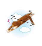 スコティッシュはるまる第6弾～ネット猫編（個別スタンプ：11）