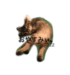 もん吉2（個別スタンプ：1）