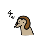 ペングインたちのスタンプ（個別スタンプ：31）