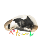 りりーとべりー（個別スタンプ：1）