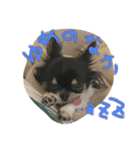 りりーとべりー（個別スタンプ：3）