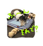 りりーとべりー（個別スタンプ：5）