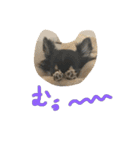 りりーとべりー（個別スタンプ：6）