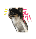 りりーとべりー（個別スタンプ：8）