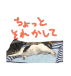 りりーとべりー（個別スタンプ：9）