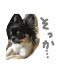 りりーとべりー（個別スタンプ：11）