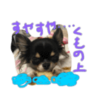 りりーとべりー（個別スタンプ：19）