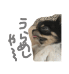 りりーとべりー（個別スタンプ：21）
