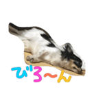 りりーとべりー（個別スタンプ：23）