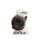 french UGG（個別スタンプ：1）