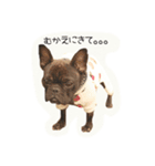 french UGG（個別スタンプ：5）