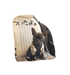 french UGG（個別スタンプ：6）