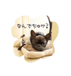 french UGG（個別スタンプ：8）