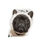 french UGG（個別スタンプ：10）
