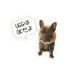 french UGG（個別スタンプ：11）