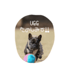 french UGG（個別スタンプ：12）