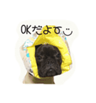 french UGG（個別スタンプ：16）