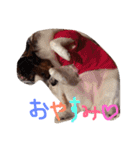 くるみんの毎日♪（個別スタンプ：2）