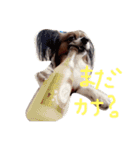 くるみんの毎日♪（個別スタンプ：4）
