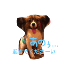 くるみんの毎日♪（個別スタンプ：5）