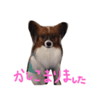 くるみんの毎日♪（個別スタンプ：7）