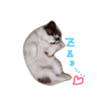 くるみんの毎日♪（個別スタンプ：8）