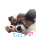 くるみんの毎日♪（個別スタンプ：11）