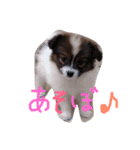 くるみんの毎日♪（個別スタンプ：13）