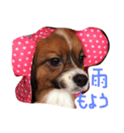 くるみんの毎日♪（個別スタンプ：18）