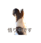 くるみんの毎日♪（個別スタンプ：20）