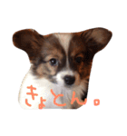 くるみんの毎日♪（個別スタンプ：22）