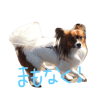 くるみんの毎日♪（個別スタンプ：23）