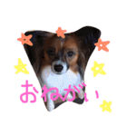 くるみんの毎日♪（個別スタンプ：24）
