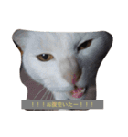 ねこたちの独り言（個別スタンプ：6）