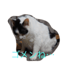 ねこたちの独り言（個別スタンプ：7）