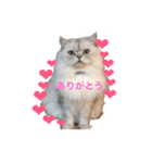 きるもなスタンプ（個別スタンプ：2）
