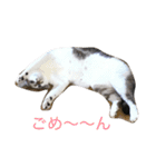 豆姉弟（個別スタンプ：7）