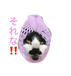 豆姉弟（個別スタンプ：13）