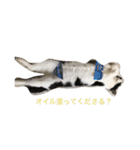 豆姉弟（個別スタンプ：16）