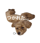 エルムのスタンプ（個別スタンプ：5）